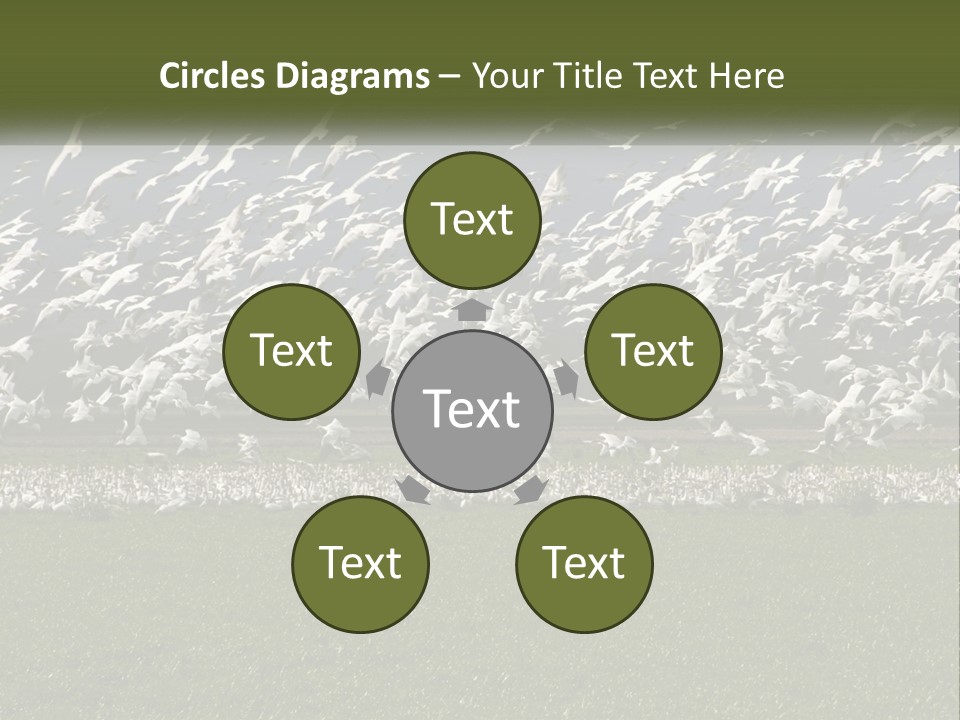 Grass Farm Artic PowerPoint Template