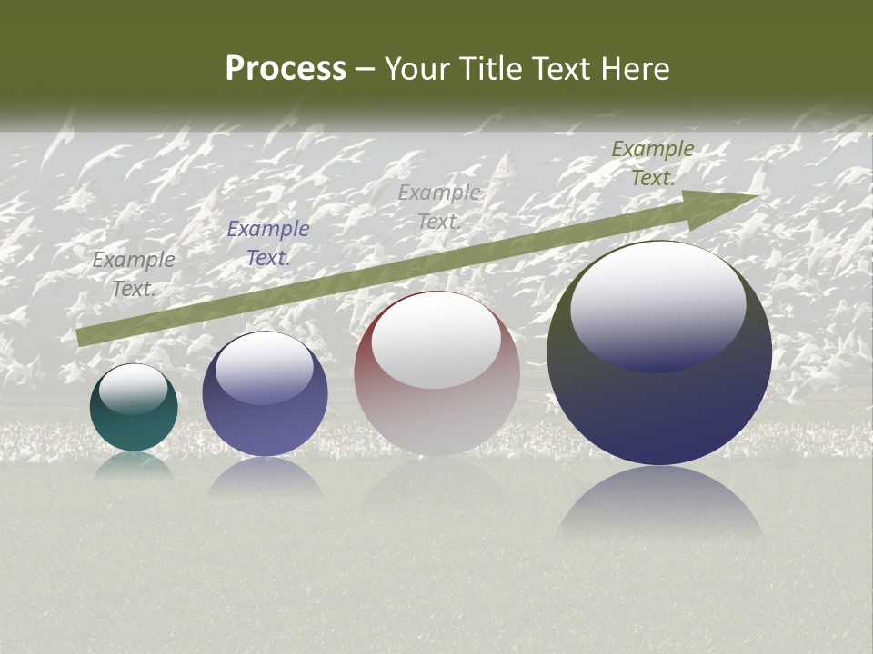 Grass Farm Artic PowerPoint Template