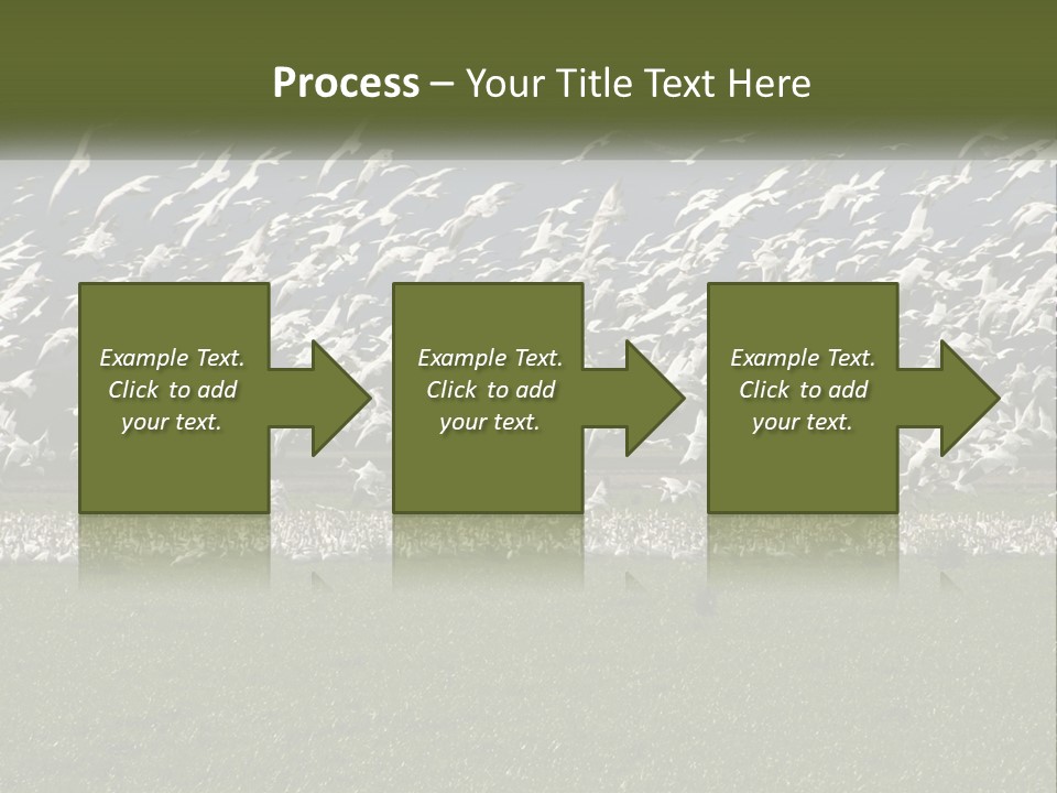 Grass Farm Artic PowerPoint Template