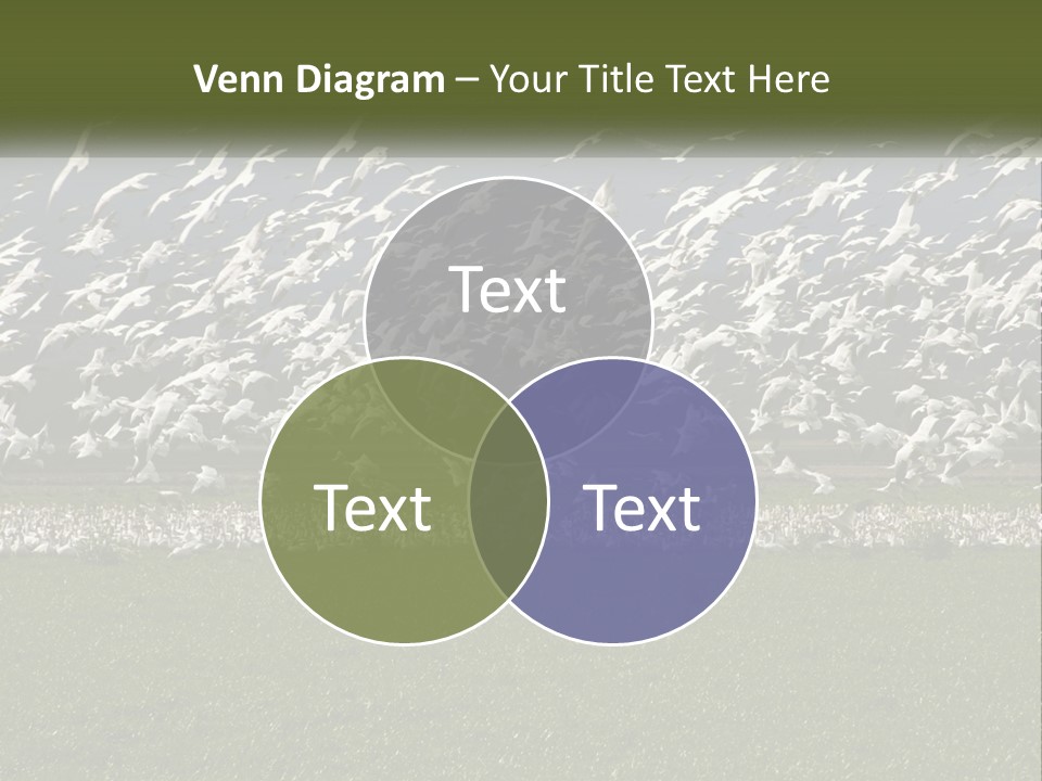 Grass Farm Artic PowerPoint Template