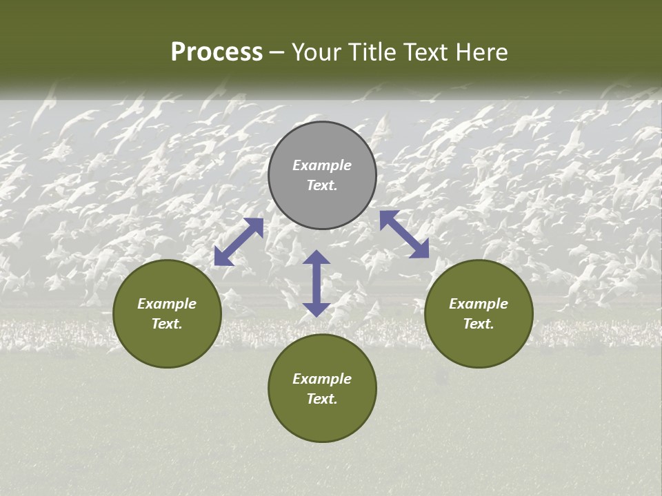 Grass Farm Artic PowerPoint Template