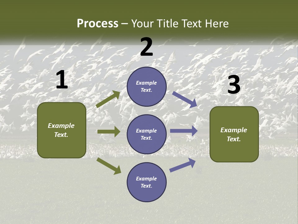Grass Farm Artic PowerPoint Template