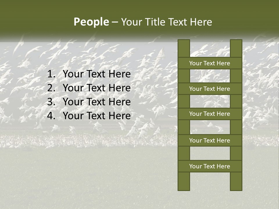 Grass Farm Artic PowerPoint Template