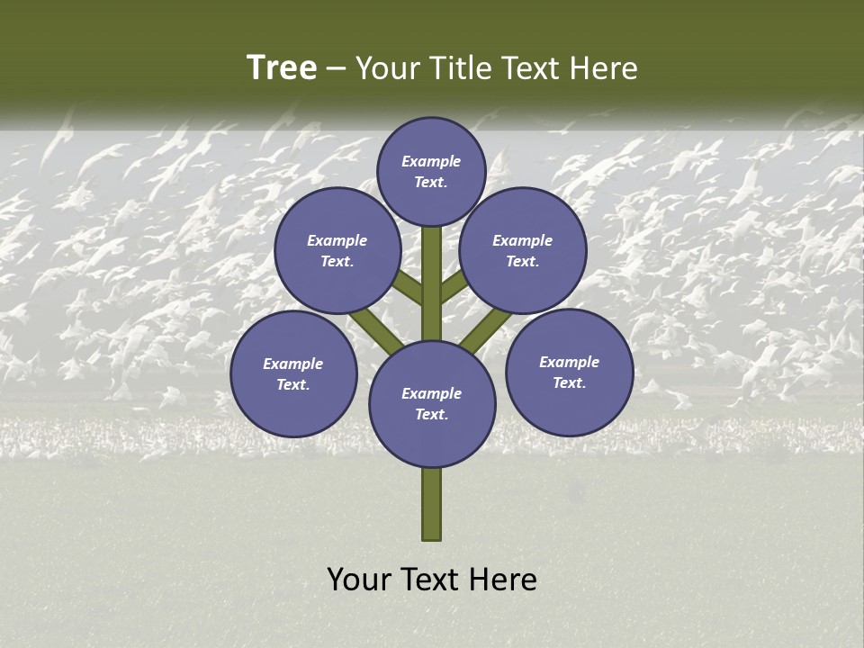 Grass Farm Artic PowerPoint Template