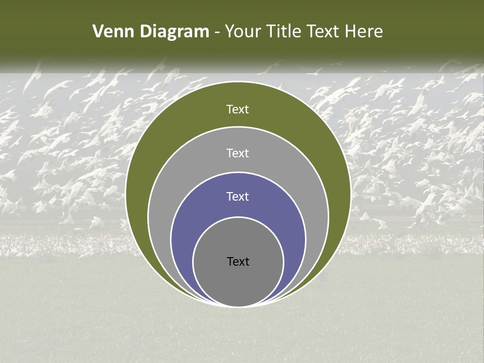 Grass Farm Artic PowerPoint Template