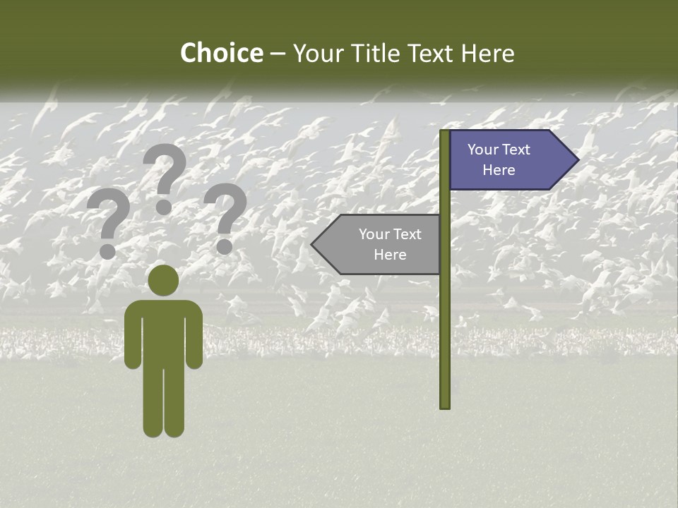 Grass Farm Artic PowerPoint Template