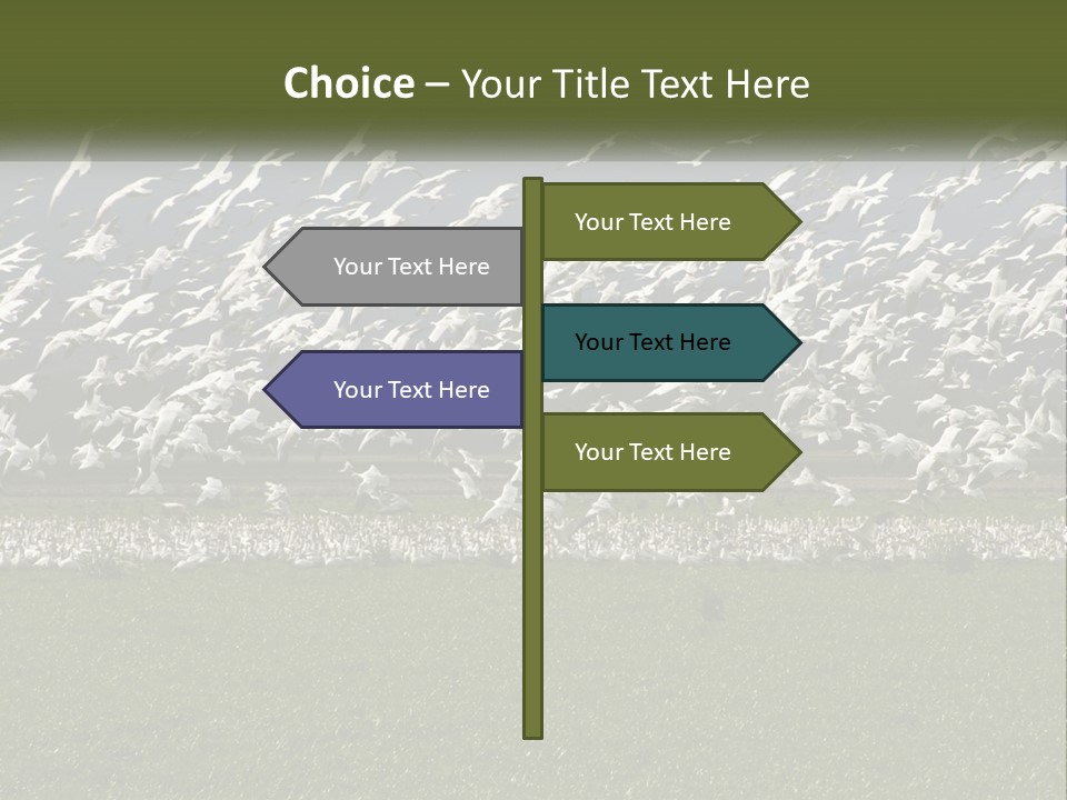 Grass Farm Artic PowerPoint Template