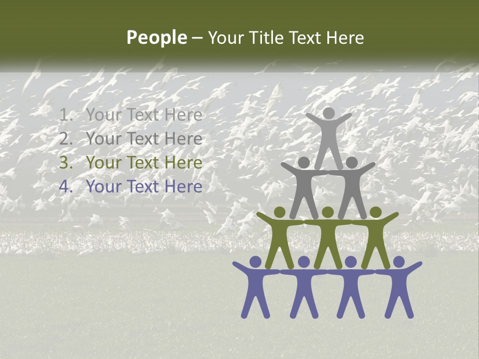 Grass Farm Artic PowerPoint Template