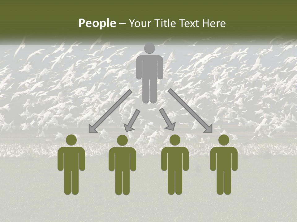 Grass Farm Artic PowerPoint Template