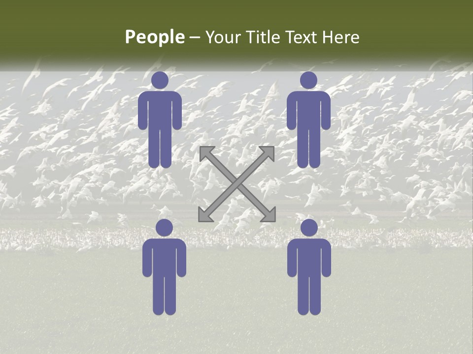 Grass Farm Artic PowerPoint Template