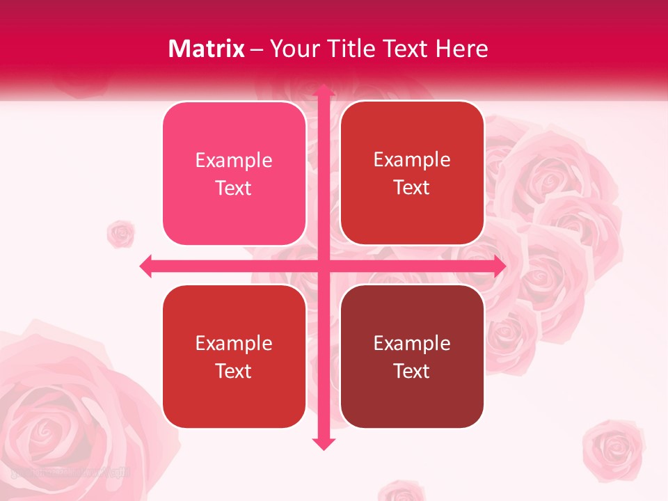 A Bunch Of Pink Roses On A White And Pink Background PowerPoint Template