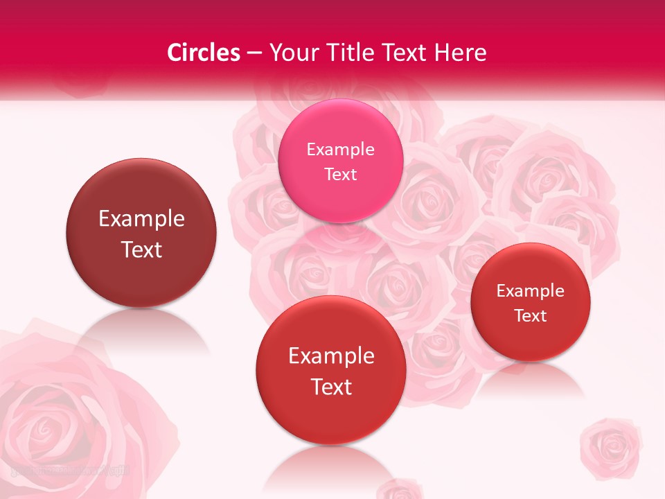 A Bunch Of Pink Roses On A White And Pink Background PowerPoint Template