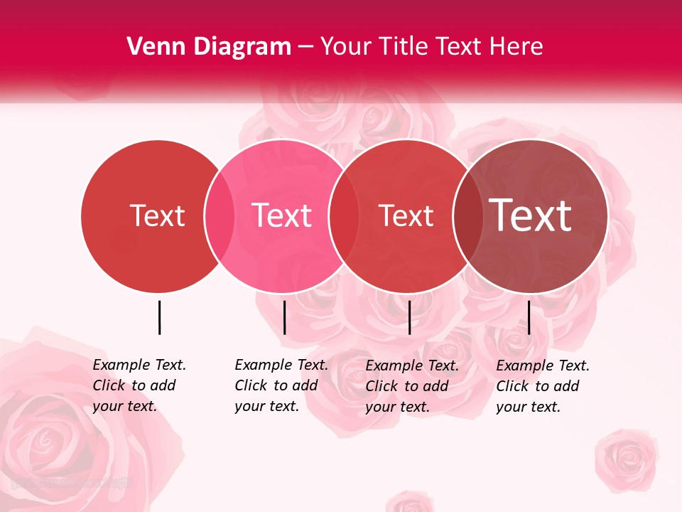 A Bunch Of Pink Roses On A White And Pink Background PowerPoint Template