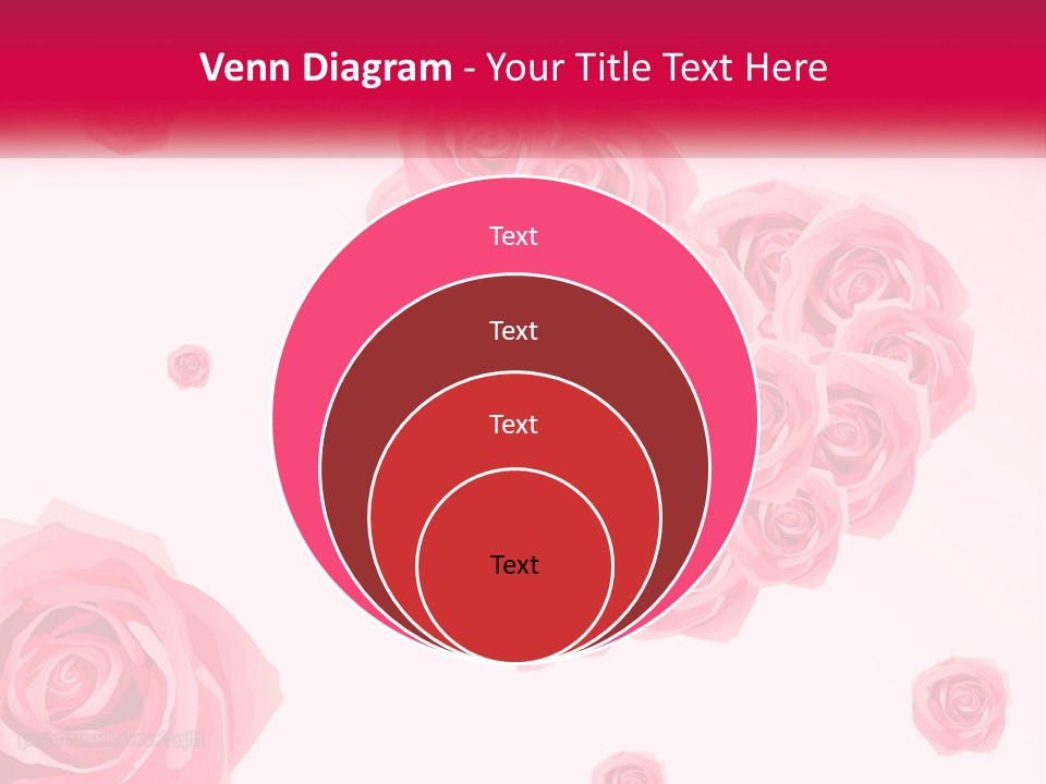 A Bunch Of Pink Roses On A White And Pink Background PowerPoint Template