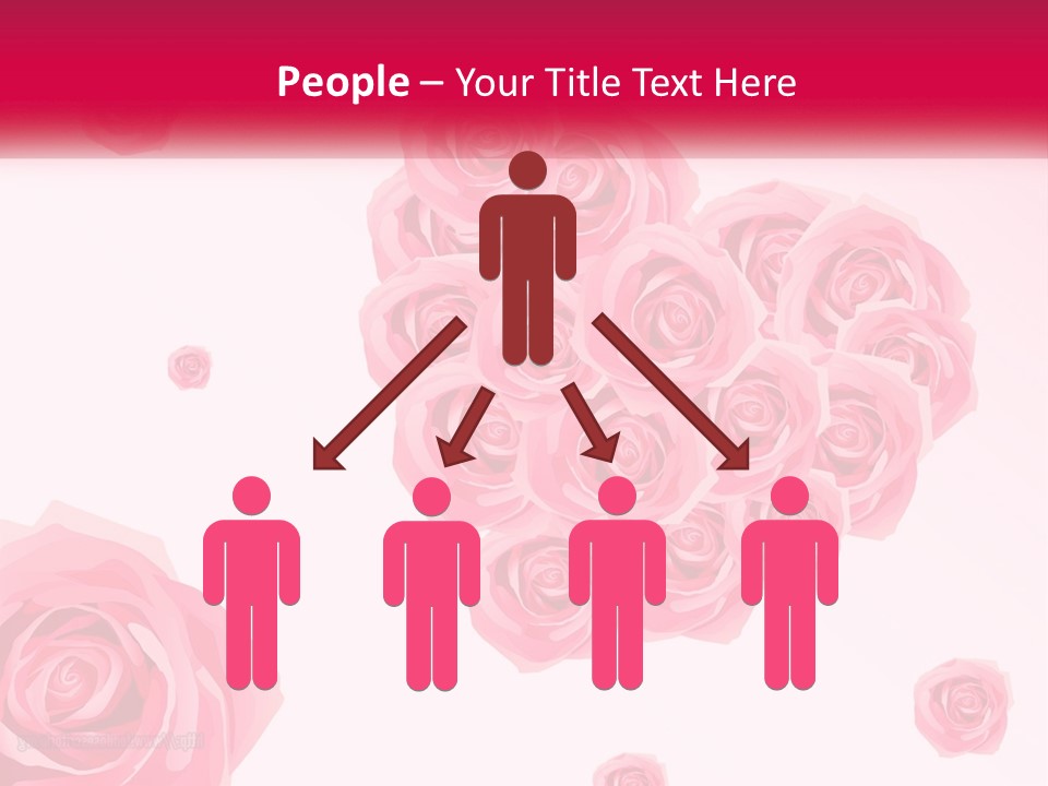 A Bunch Of Pink Roses On A White And Pink Background PowerPoint Template