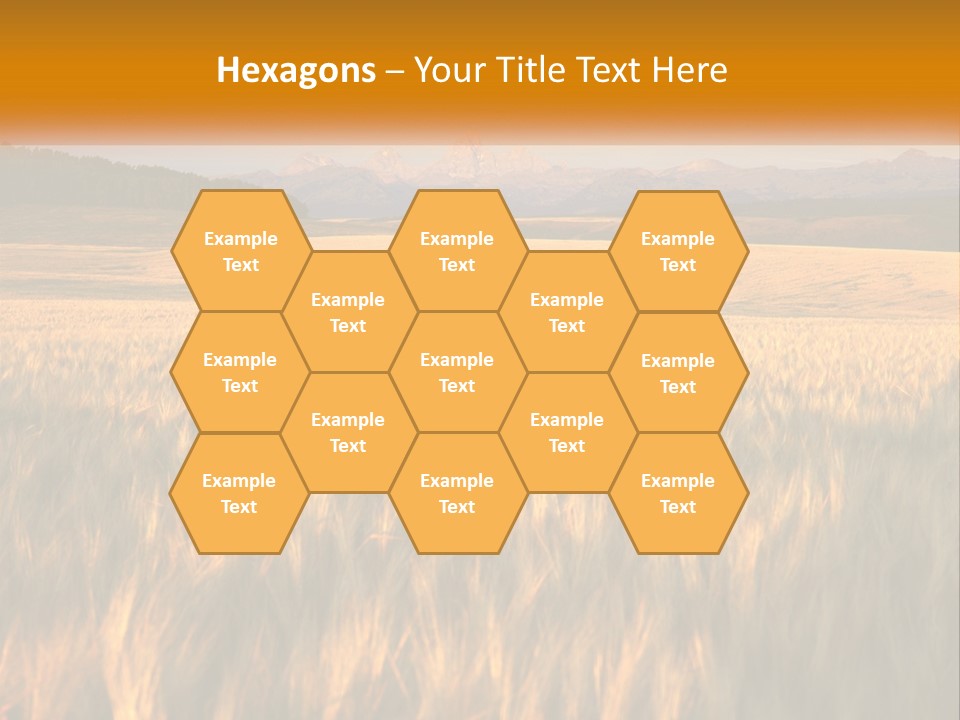 Grand Yellow Wheat PowerPoint Template
