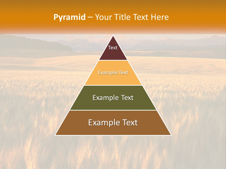Grand Yellow Wheat PowerPoint Template