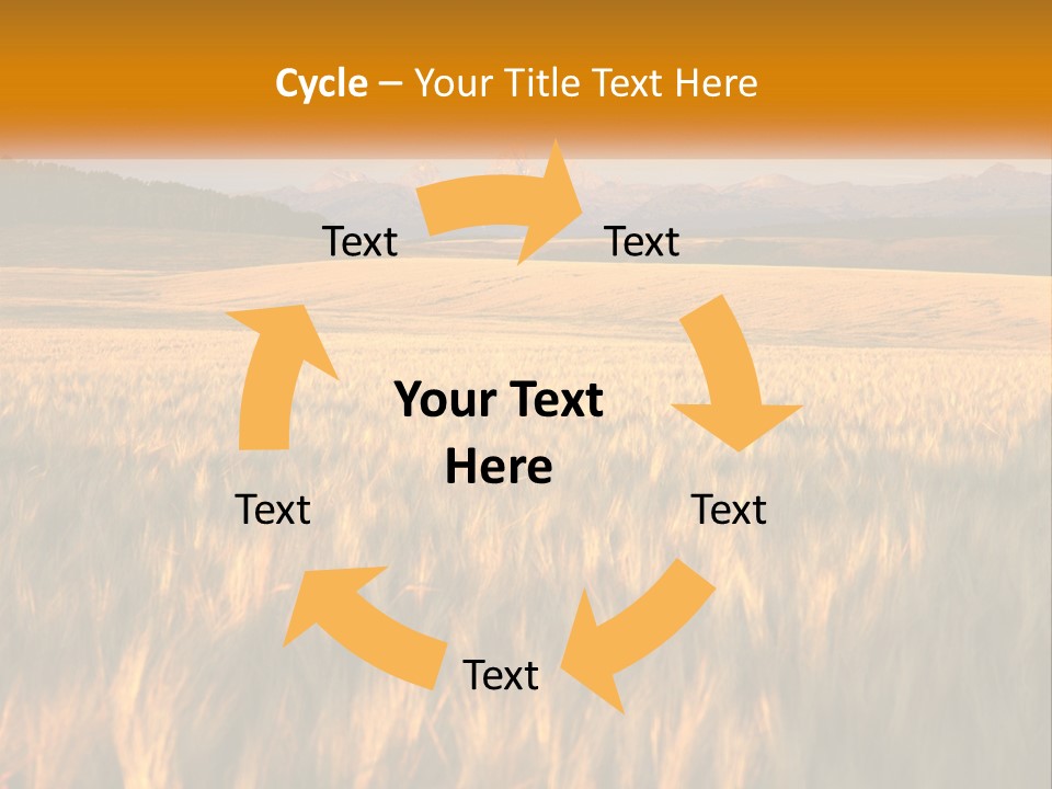 Grand Yellow Wheat PowerPoint Template