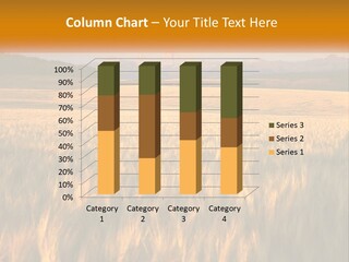 Grand Yellow Wheat PowerPoint Template