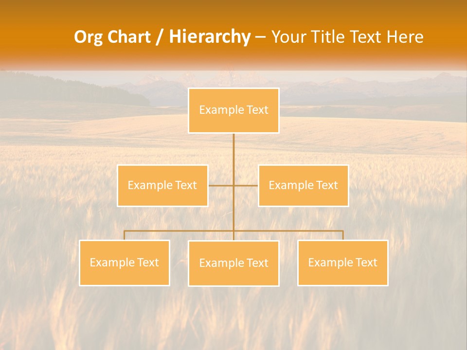 Grand Yellow Wheat PowerPoint Template