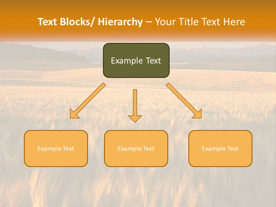 Grand Yellow Wheat PowerPoint Template