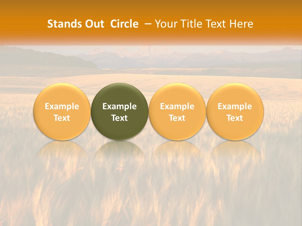 Grand Yellow Wheat PowerPoint Template