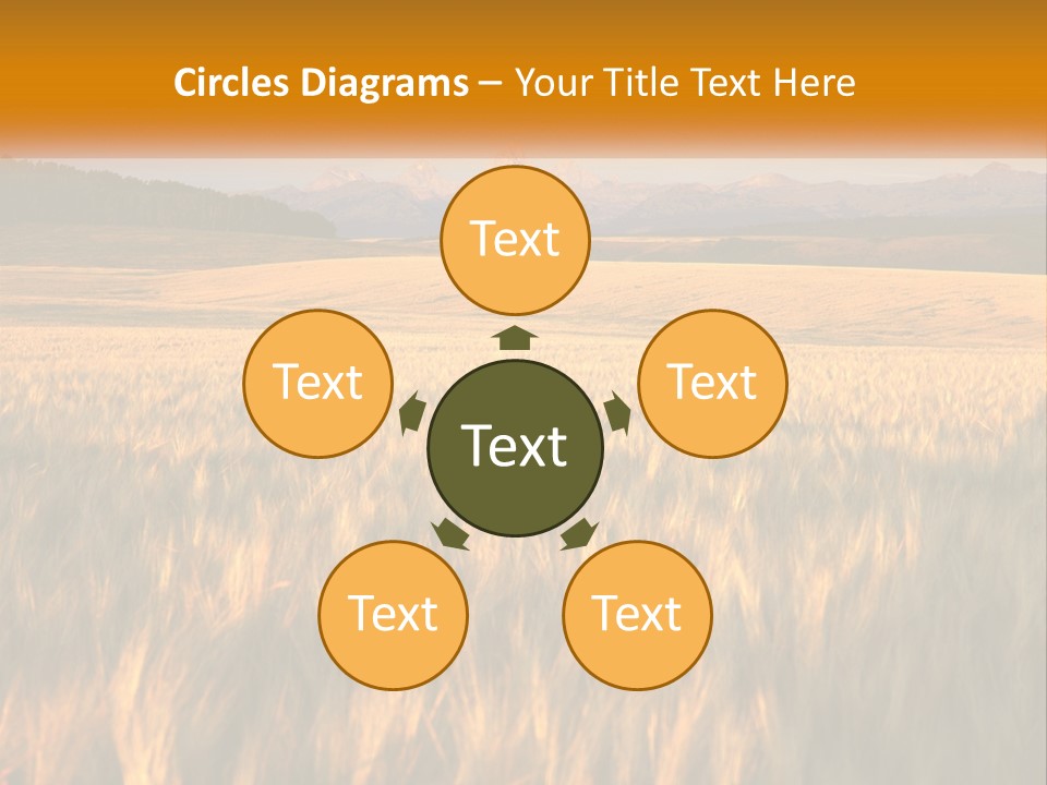 Grand Yellow Wheat PowerPoint Template