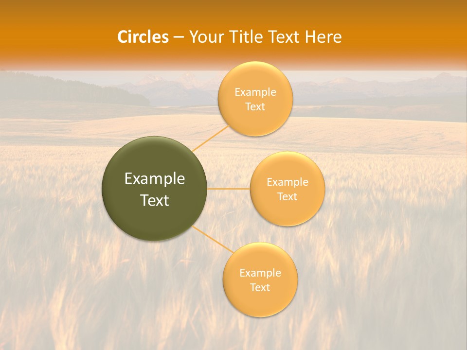 Grand Yellow Wheat PowerPoint Template