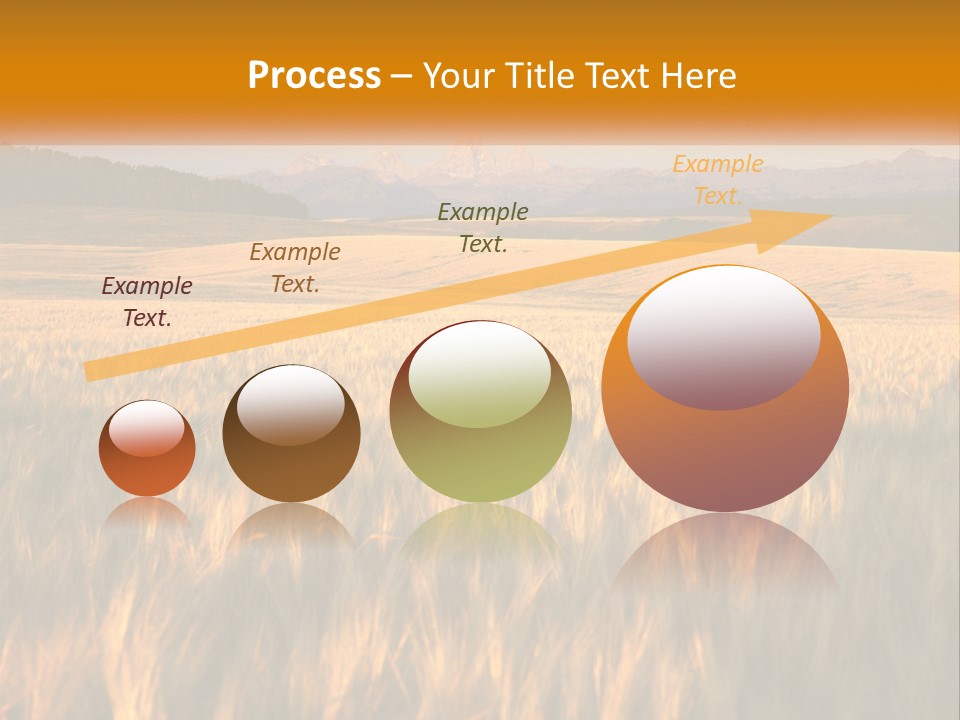 Grand Yellow Wheat PowerPoint Template