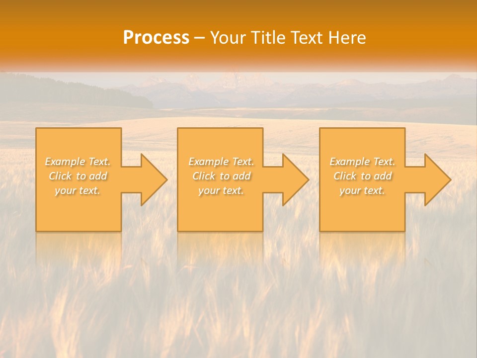 Grand Yellow Wheat PowerPoint Template