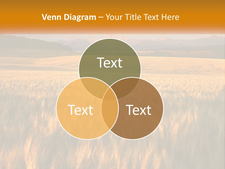 Grand Yellow Wheat PowerPoint Template