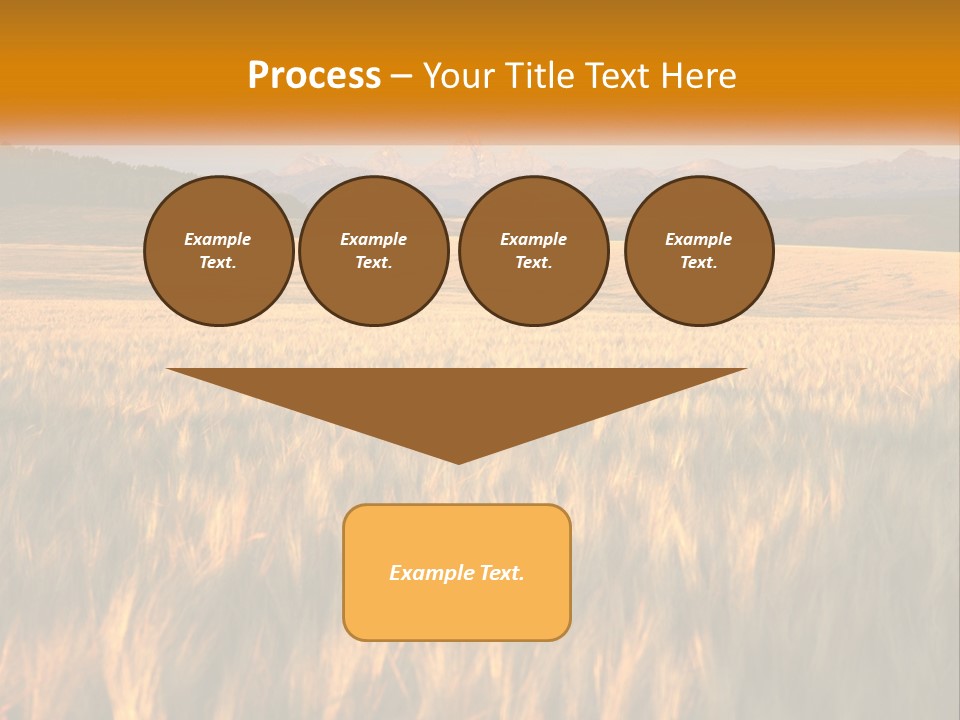 Grand Yellow Wheat PowerPoint Template