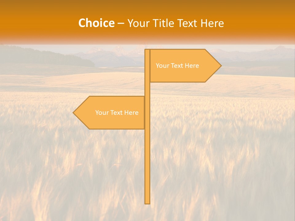 Grand Yellow Wheat PowerPoint Template