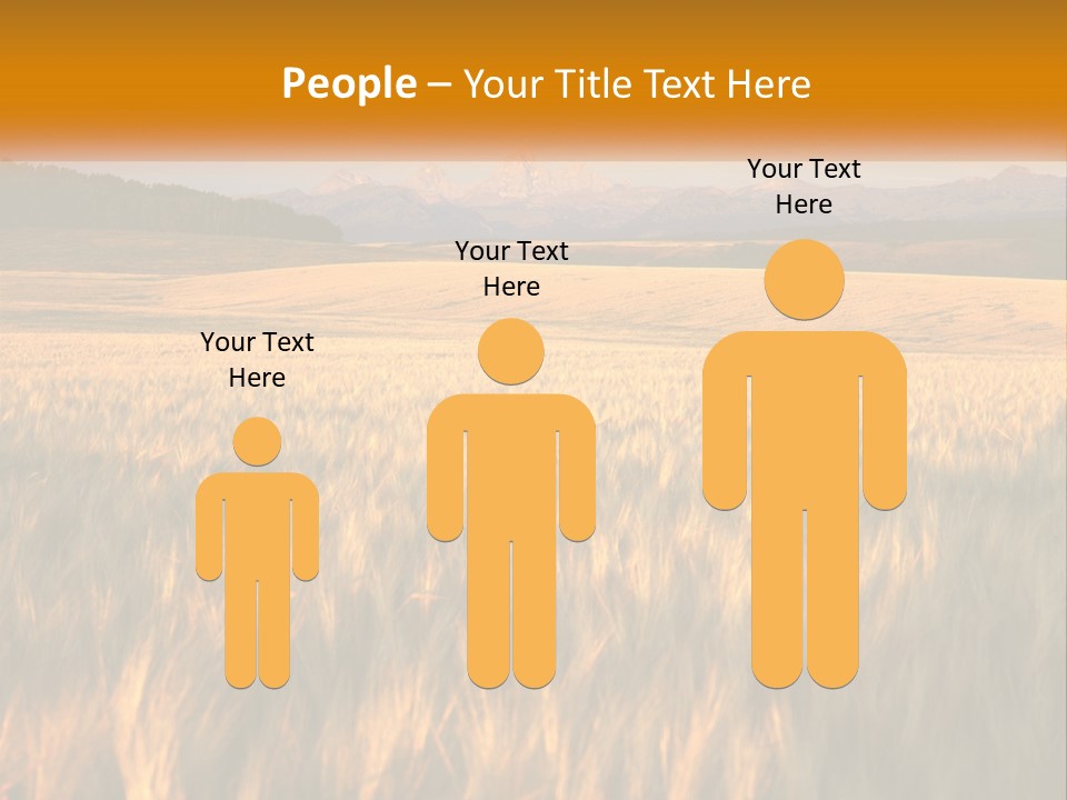 Grand Yellow Wheat PowerPoint Template