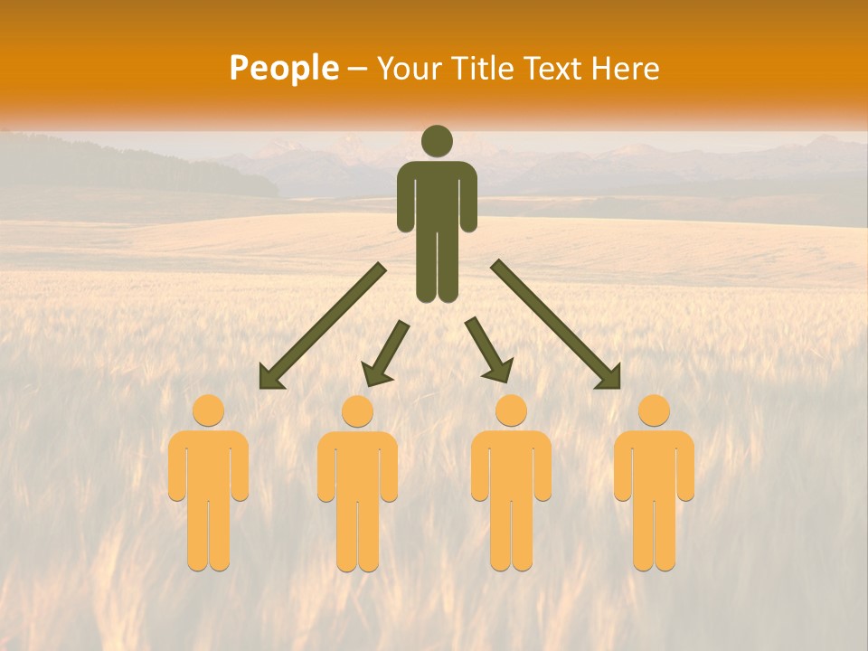 Grand Yellow Wheat PowerPoint Template