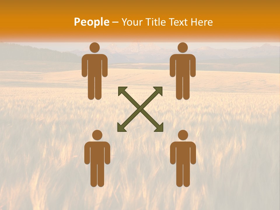 Grand Yellow Wheat PowerPoint Template