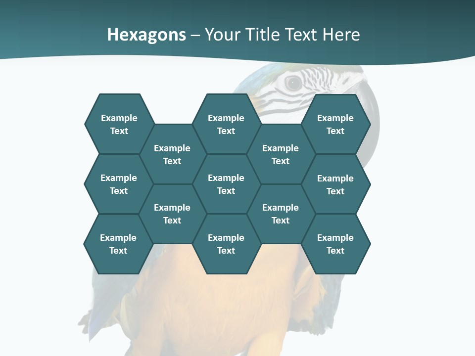 Blue Animal View PowerPoint Template