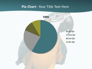 Blue Animal View PowerPoint Template