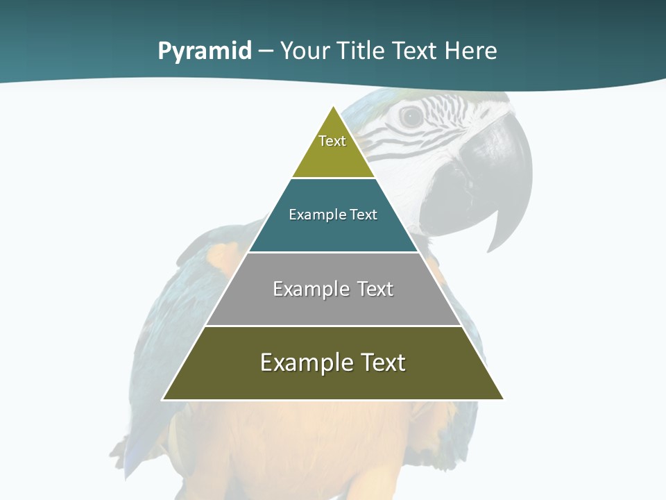 Blue Animal View PowerPoint Template