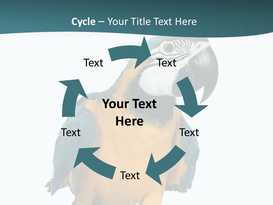 Blue Animal View PowerPoint Template