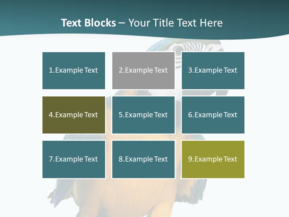 Blue Animal View PowerPoint Template