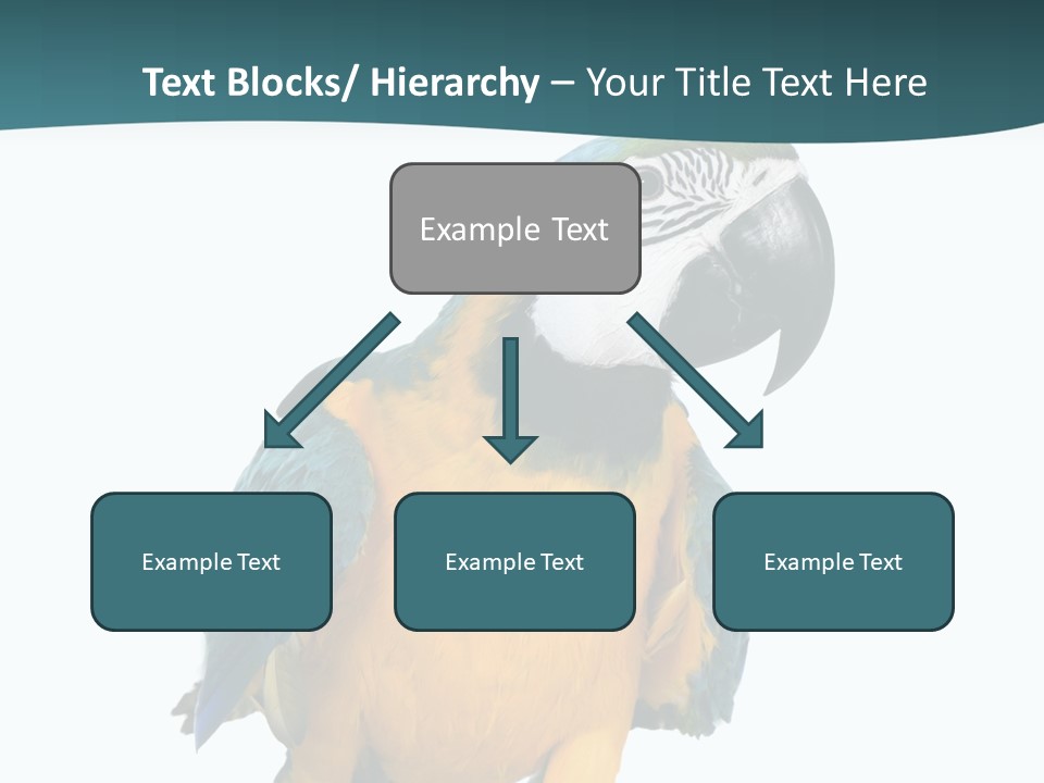 Blue Animal View PowerPoint Template