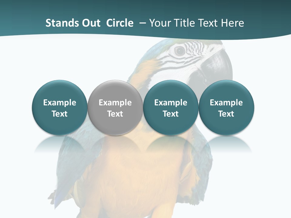 Blue Animal View PowerPoint Template