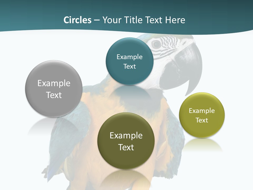 Blue Animal View PowerPoint Template