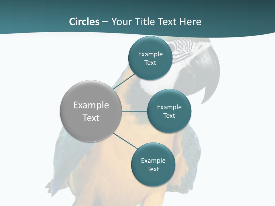 Blue Animal View PowerPoint Template