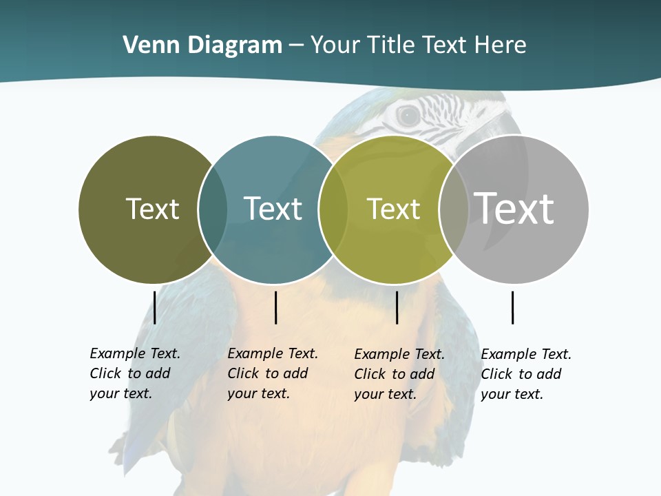 Blue Animal View PowerPoint Template