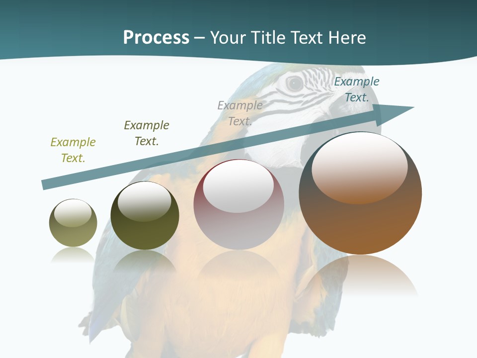 Blue Animal View PowerPoint Template