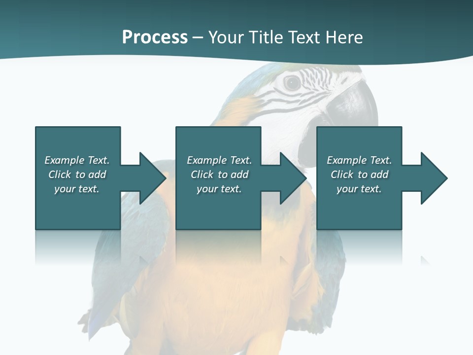 Blue Animal View PowerPoint Template