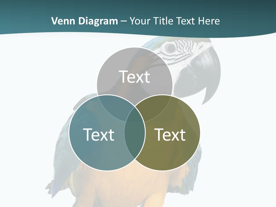 Blue Animal View PowerPoint Template