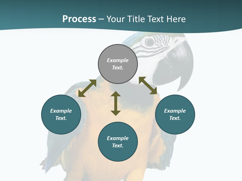 Blue Animal View PowerPoint Template